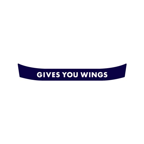 wbg oCU[XebJ[ bhu GIVES YOU WINGS AC Arai GP-5EGP-5SESK-5EGP-6EGP-6SESK-6wbgΉ