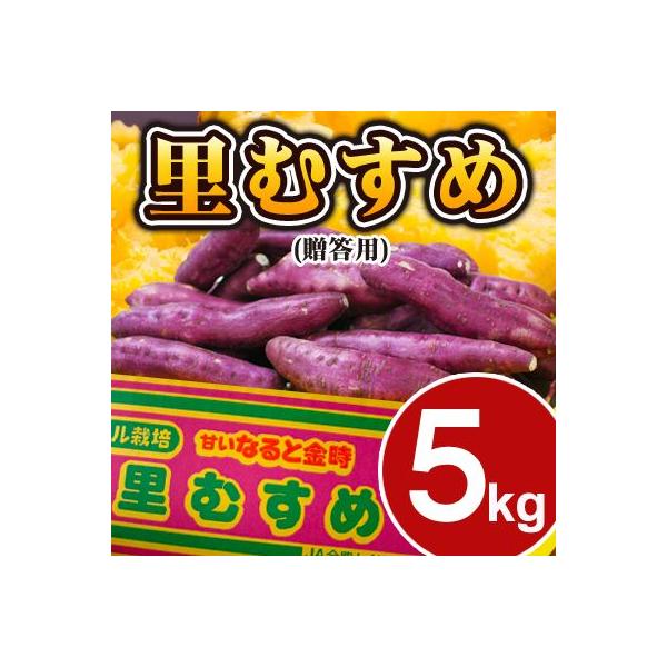 ܂  ނ 5kg Y YY  Tc}C ܈ F ȂƋނ 5L