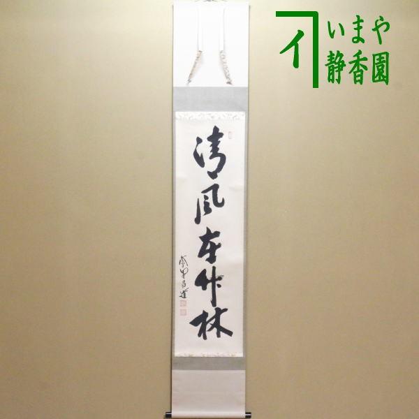 茶道具 掛軸 掛け軸 一行 清風在竹林 前田昌道筆 茶道 : 茶道具