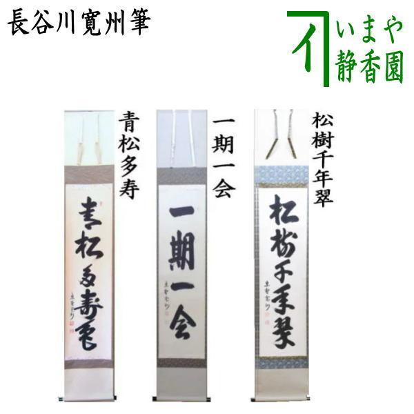 茶道具 掛軸 掛け軸 一行 青松多寿色又は一期一会又は松樹千年翠 長谷川寛州筆