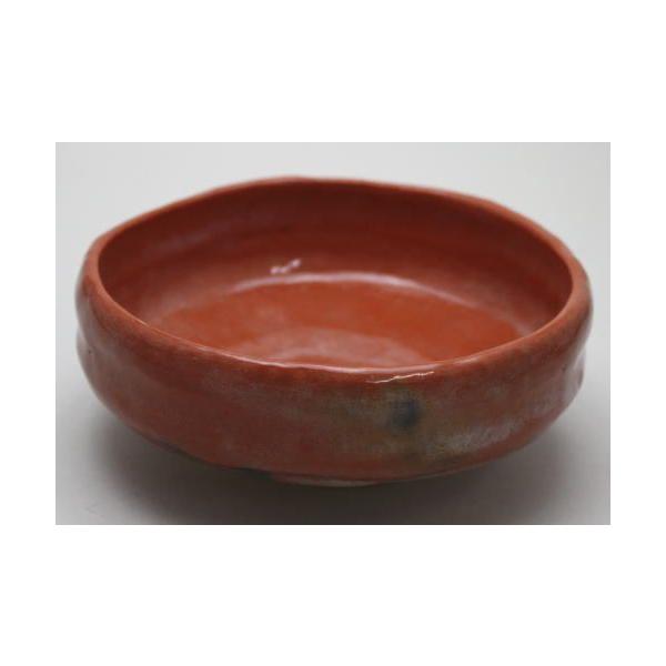 【値下げ】縁起物【松楽】茶碗 抹茶 抹茶碗 赤楽茶碗 佐々木松楽 作 通年物の通販は【みのる園】