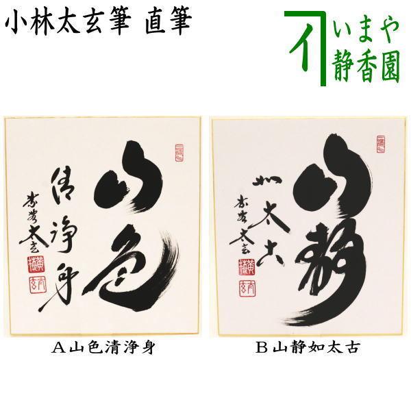 茶道具 色紙 直筆 山色清浄身又は山静如太古 小林太玄筆 茶道 : 茶道具