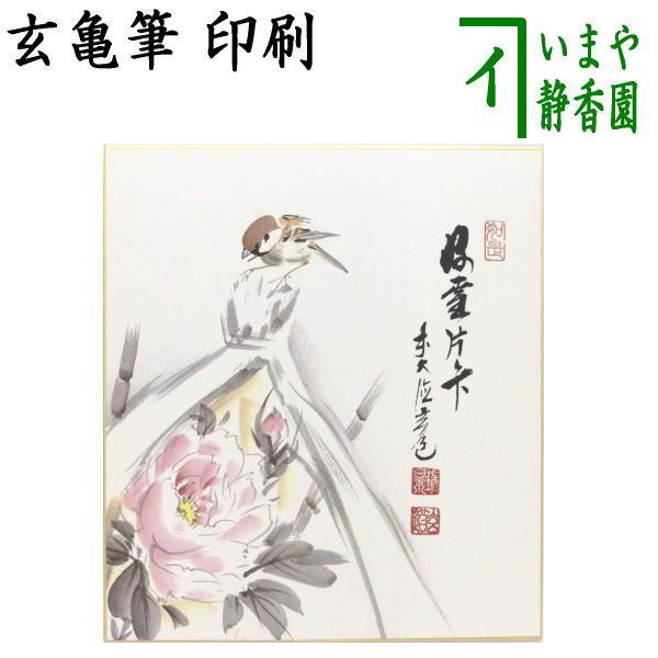 茶道具 色紙画賛 印刷 好雪片々下 玄亀筆 寒椿の画 茶道 : 茶道具