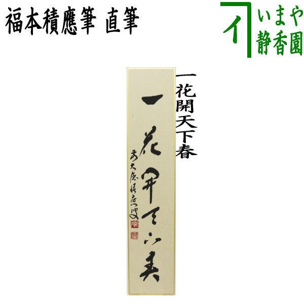 茶道具 短冊 直筆 一花開天下春 福本積應筆 茶道 : 茶道具いまや静香園