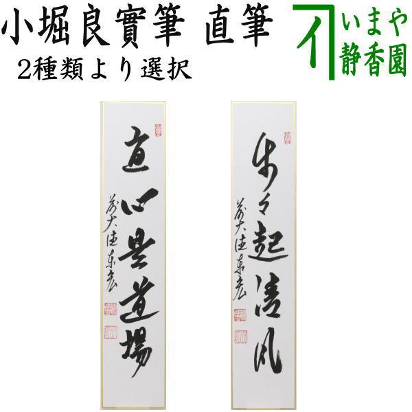 茶道具 短冊 直筆 直心是道場又は歩々起清風 松涛泰宏筆 宗潤 まつなみたいこう 茶道
