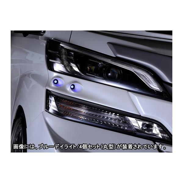 Ft@CAH30niI[O[hΉj MNV[ wbhCgK[jbV h ubNp[Rv[g