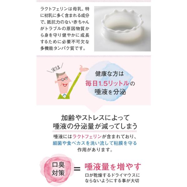 口腔用ラクトフェリン 30日分 60粒 サプリ トローチ タブレット 口臭予防 デンタルケア オーラルケア 口腔ケア 日本予防医薬 通販 Buyee Buyee 日本の通販商品 オークションの代理入札 代理購入