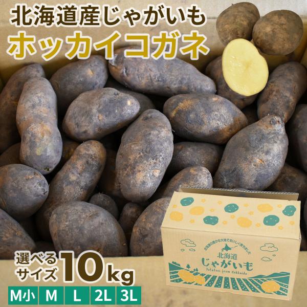 北海道産 越冬 ホッカイコガネ 10kg M〜3Lサイズ 熟成 じゃがいも 10