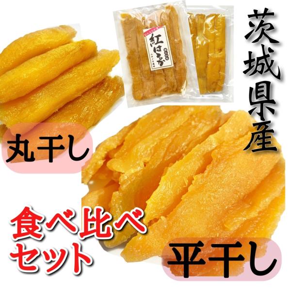  Y g͂邩 v[g XC[c  Y  Y ۊ 2Hה2e400g Z400T400