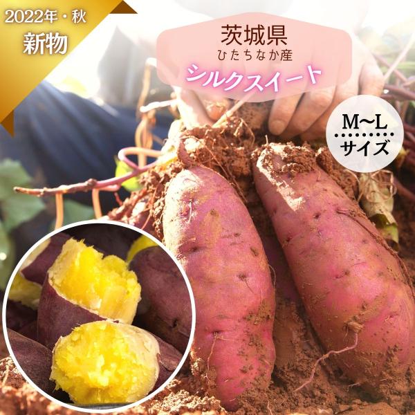 シルクスイート さつまいも 5kg 箱入り さつま芋 送料無料