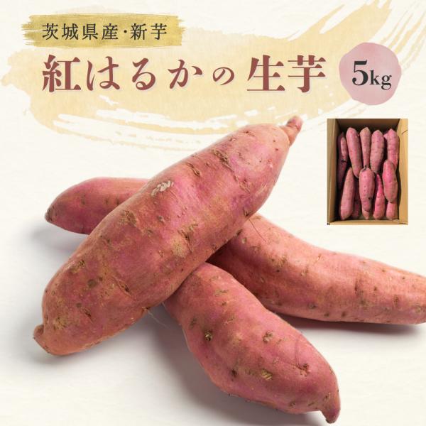2024年 新芋 紅はるか Sサイズ さつまいも 5kg 箱 茨城県産 ひたちなか