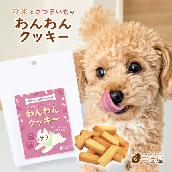 【3個セット】わんわんクッキー  お菓子 おやつ 焼き菓子 クッキー 犬 犬用 わんちゃん わんこ ペット ペット用 無添加 オーガニック 国産 グルテンフリー 健康