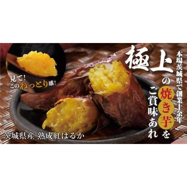 焼き芋 紅天使 2kg 糖度64 9度 冷凍 冷やし焼き芋 茨城県産 かいつか さつまいも 熟成紅はるか おやつ レンジ ランキング 通販 お取り寄せ 贈答 ギフト スイーツ Buyee Buyee Japanese Proxy Service Buy From Japan Bot Online