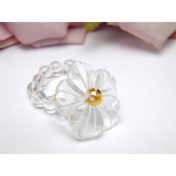 AR0002V[Y KNOEw  o VR p[Xg[ v`Mtg ] ސE  ̓ hV̓ NX}X Mtg