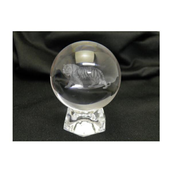 u ۋ lH  [U[ 50mm  p[Xg[ v`Mtg ] ސE  ̓ hV̓ Mtg