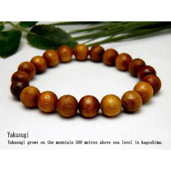 vuXbg ؖpV[1t 10mm v`Mtg ] ސE  ̓ hV̓ NX}X Mtg