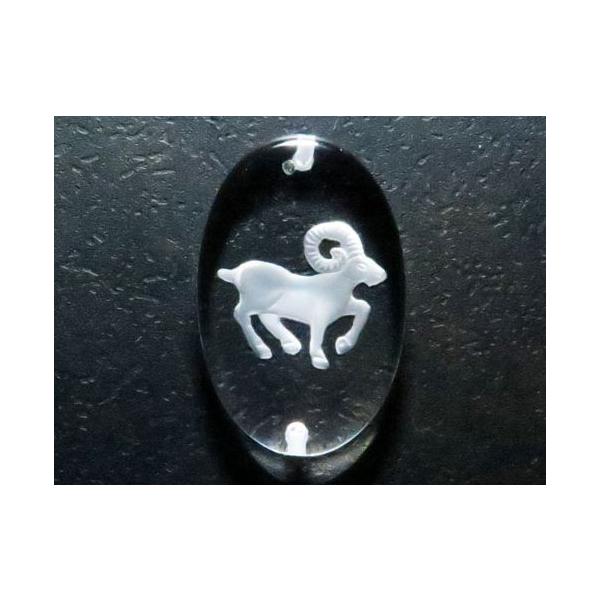 12 r fv[g ^ EђʁEuXbgp ꗱr[Y