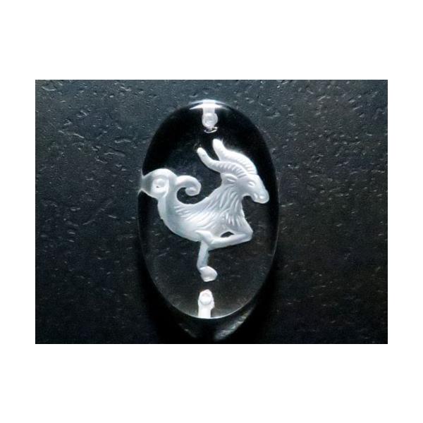 12 Rr fv[g ^ EђʁEuXbgp ꗱr[Y