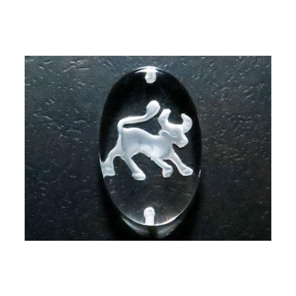 12  fv[g ^ EђʁEuXbgp ꗱr[Y