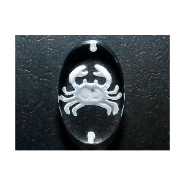 12 I fv[g ^ EђʁEuXbgp ꗱr[Y