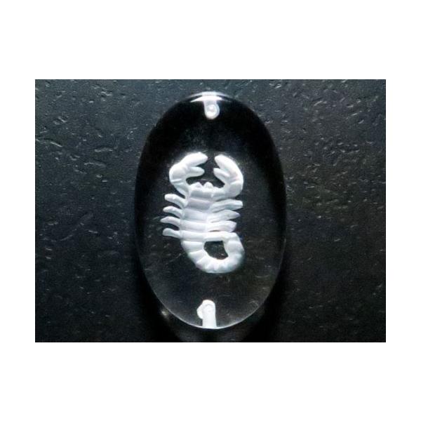 12 嶍 fv[g ^ EђʁEuXbgp ꗱr[Y