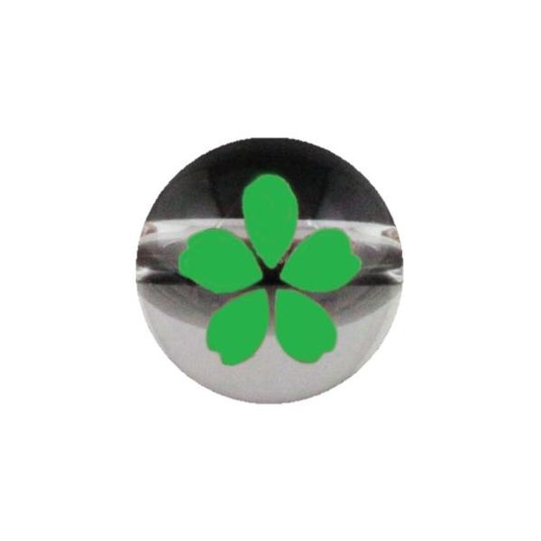  蒤  10mm  ꗱr[Y VR p[Xg[