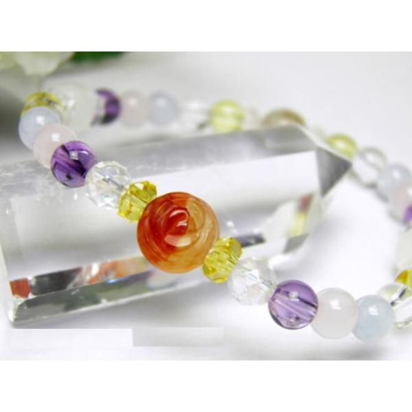 p[Xg[̃J[lA KN`[tuXbg fB[X VR΂̐ r֔O KÑuXbg MtgɂœK  