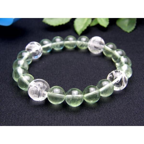 l_bV[Y l_buXbg  12mm E鐝EՁE O[t[Cg VR  p[Xg[ v`Mtg ] ސE 