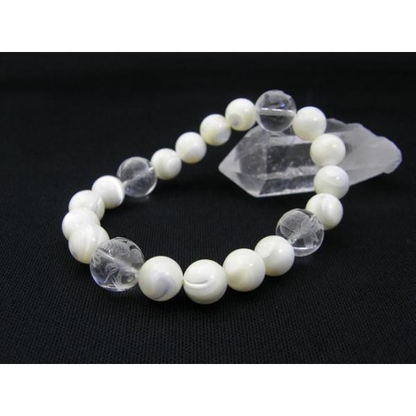 l_bV[Y l_buXbg  12mm E鐝EՁE }U[Iup[ VR  p[Xg[