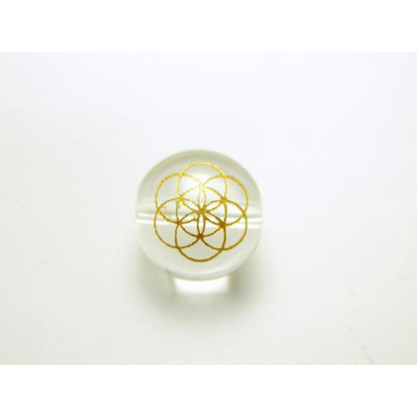 _􉽊w͗l V[hIuCt   12mm  ꗱr[Y VR  p[Xg[