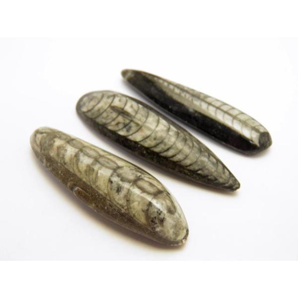 imperialaura_lsmd-kaseki-ac-03195