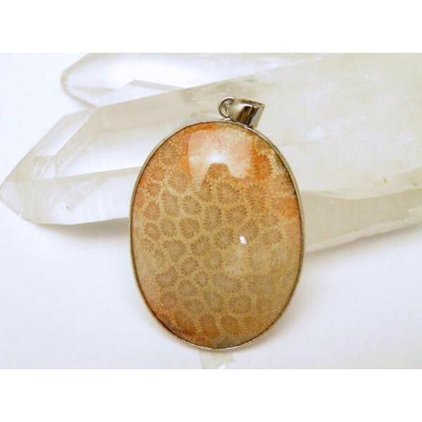 X̉ y_ggbvNO.5 v`Mtg ] ސE  ̓ hV̓ Mtg