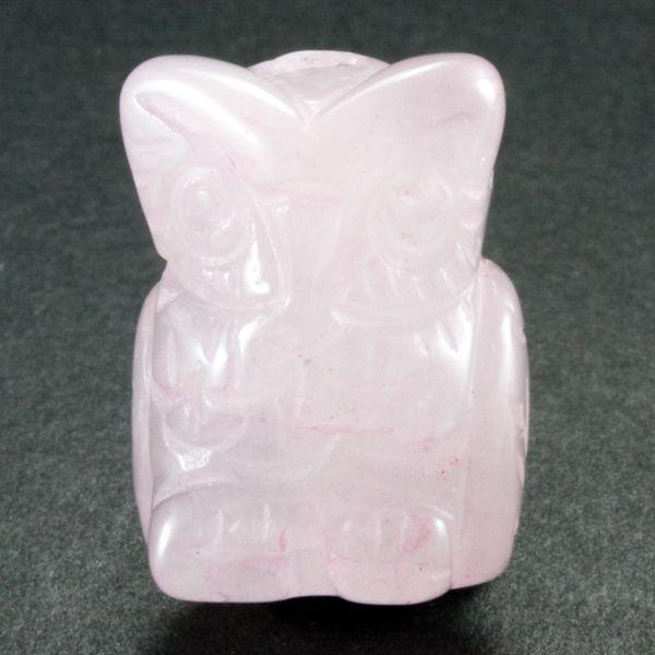 `[tr[Y ~jӂ낤  [YNH[c 1 o ɃIXX VR p[Xg[