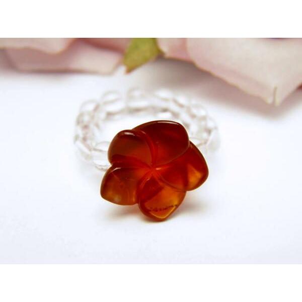 AR0001V[Y j[OEw bhmE VR p[Xg[ v`Mtg ] ސE  ̓ hV̓ NX}X Mtg