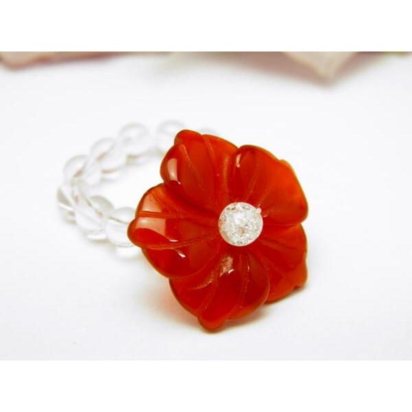 AR0002V[Y KNOEw bhmE o VR p[Xg[ v`Mtg ] ސE  ̓ hV̓ NX}X Mtg