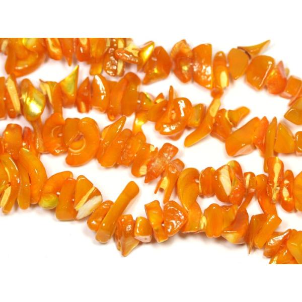 r[Y S[f}U[Iup[ 嗱 80-90cm VR p[Xg[