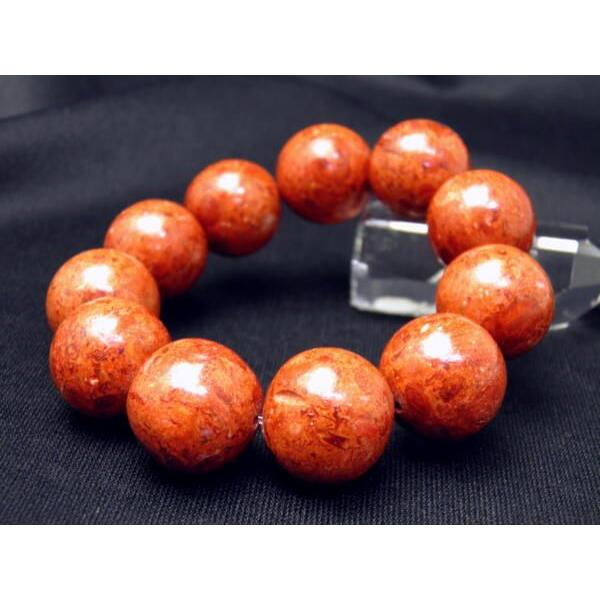 ENDLESS_20mmuXbg X|WX 20mm ʃVvuXbg  uXbg fB[XY VR p[Xg[