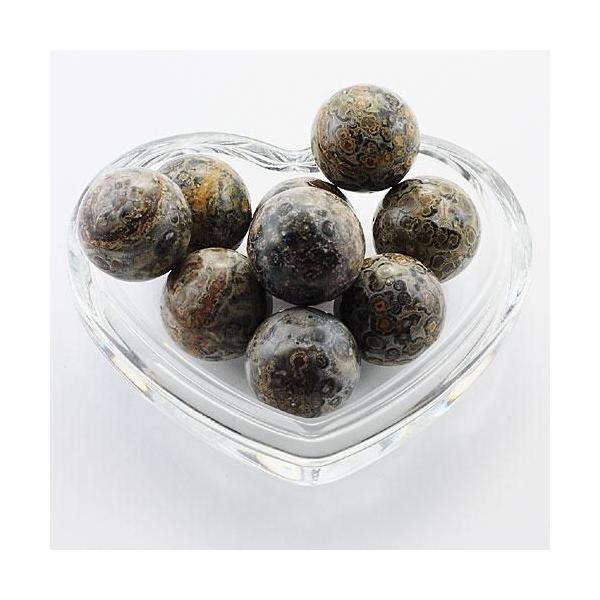 ۋ 20mm Ip[hXL Ȃꗱr[Y |[`t VR  p[Xg[