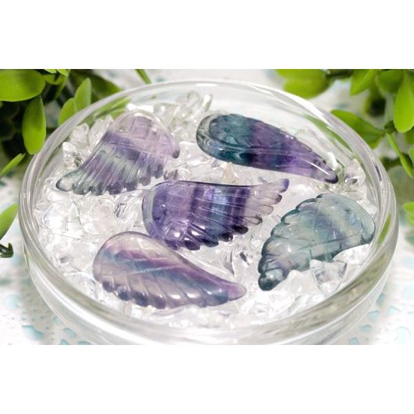 `[tr[Y Vg̉Hr[Y L t[Cg 1 VR p[Xg[