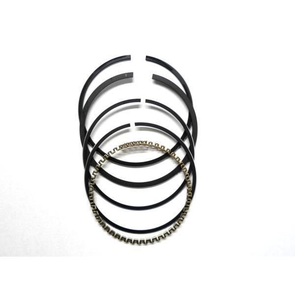 依頼用 m＋】rotolo SUEDE | 藤巻百貨店 (m+)エムピウ ペンケース