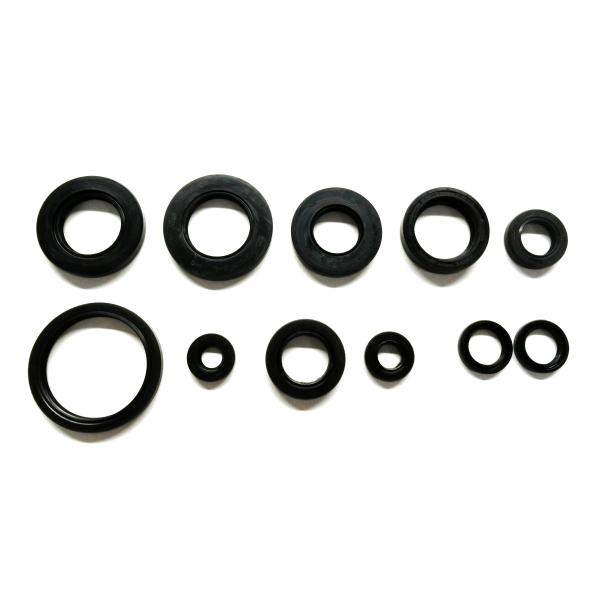 REN出品　6/28 YAMAHA（ヤマハ） KIWAMI オイルシールキット FOR Y-FZR250R (3LN1,3,5