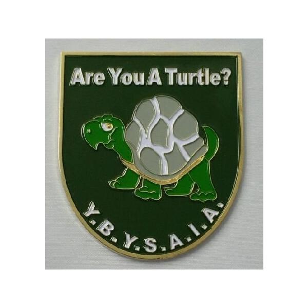 Mason Square Market are You A Turtle Car Emblem 輸入品
