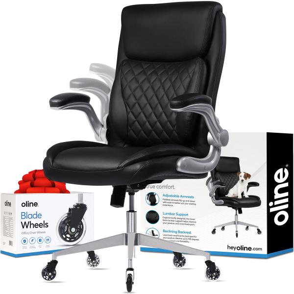 【並行輸入品】Oline ErgoAce Ergonomic Executive Office Chair, Rolling Home Des