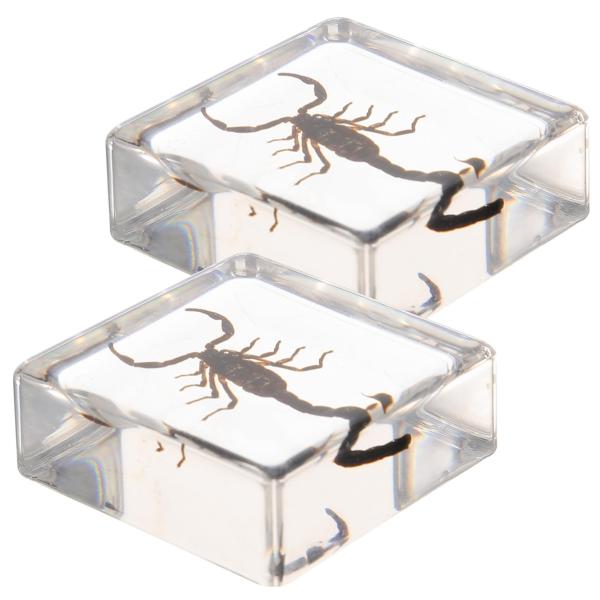 商品名:  Amosfun 2pcs Home Table Decoration Desk Decor Craft Desktop Adornment Desktop Decor Desktop Ornament Ornament Natu...