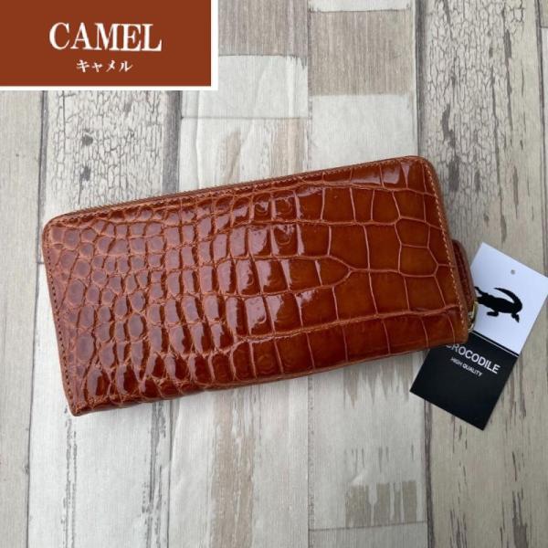 importdvdblueray_camel