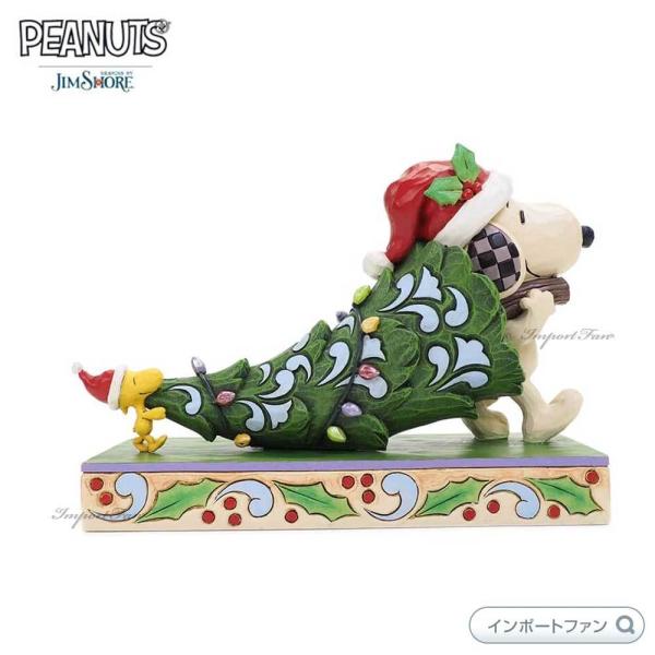 importfan_jim6007244