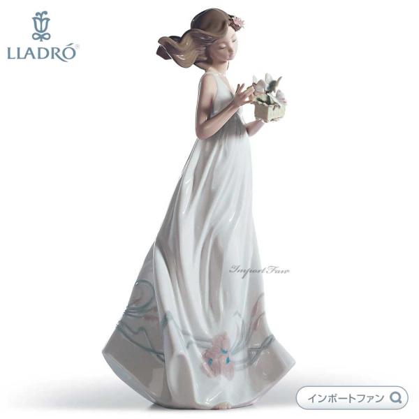 importfan_lla06777 importfan_lla06777
