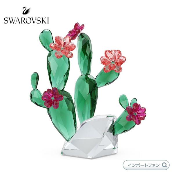 SWAROVSKI（スワロフスキー） クリスタル・フラワーズ サボテン