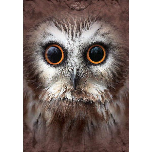 Big Faceプリントtシャツ Saw Whet Owl キンメフクロウ 3xl Buyee Buyee Japanese Proxy Service Buy From Japan Bot Online