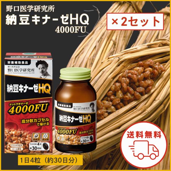 納豆キナーゼ HQ プレミアム ナットウキナーゼ サプリ 4000FU 2セット 野口医学研究所 野口 納豆 納豆菌 納豆キナーゼサプリ キナーゼ ナットウキナーゼ4000